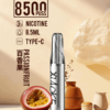xiaoke梟客拋棄式8500口口紅款💄